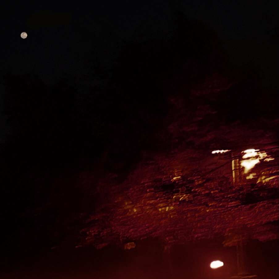 Cover of moon by Shuhan Li